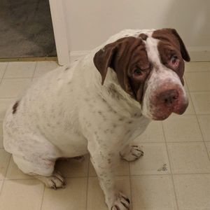 Meet your Posher, Jimmy